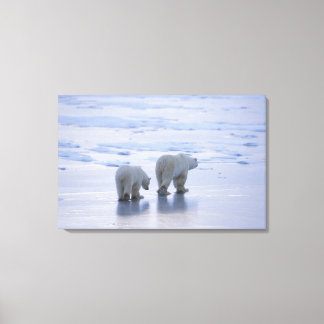 Polar Bear Mother and Cub Leinwanddruck