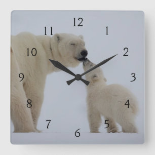 Polar Bear Mother with Cub Quadratische Wanduhr