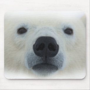 Polar Bear Mousepad