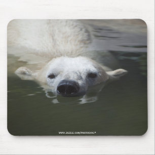 Polar Bear Mousepad