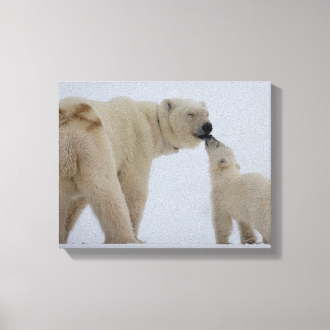 Polar Bear Mutter mit Cube Leinwanddruck (Vorderseite)