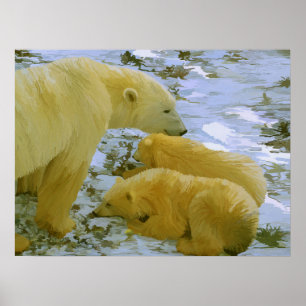Polar Bear Mutti und ihre Naben Papier drucken Poster