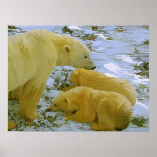 Polar Bear Mutti und ihre Naben Papier drucken Poster