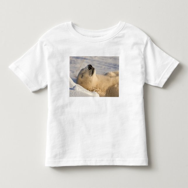 Polar Bear Nickerchen Kleinkind T-shirt (Vorderseite)