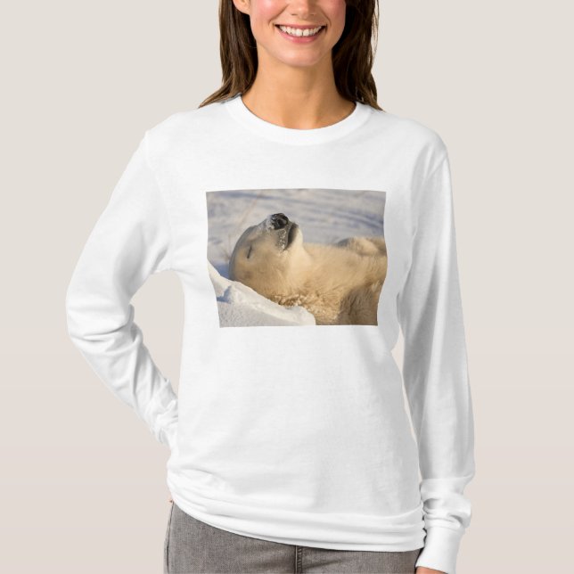 Polar Bear Nickerchen T-Shirt (Vorderseite)