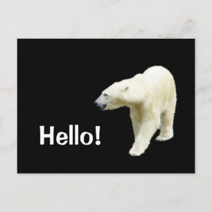 Polar Bear on Black Hello Postkarte