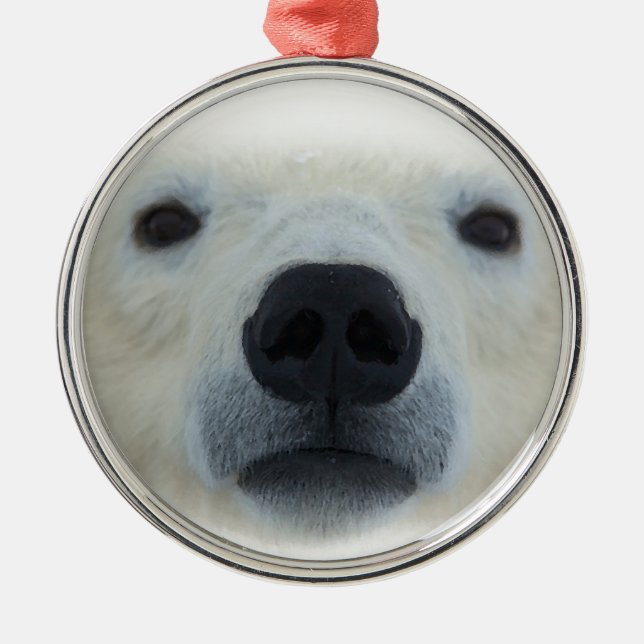 Polar Bear Ornament Aus Metall (Vorne)
