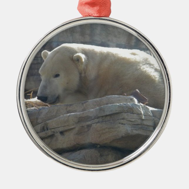 Polar Bear Ornament Aus Metall (Vorne)