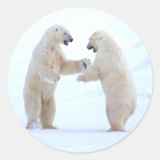 Polar Bear Play Runder Aufkleber
