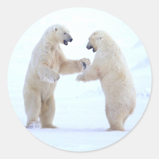 Polar Bear Play Runder Aufkleber (Vorderseite)