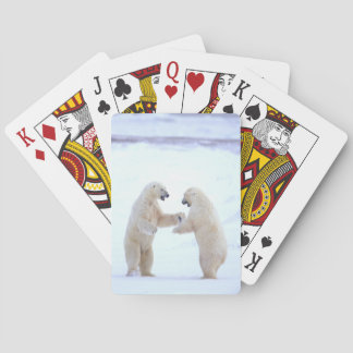 Polar Bear Play Spielkarten