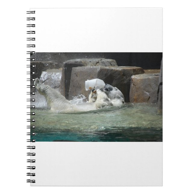 Polar Bear Playing mit Jug Notizblock (Vorderseite)