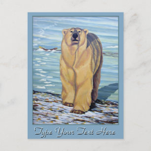 Polar Bear Postcard Polar Bären Art Postkarten