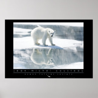 Polar Bear Poster
