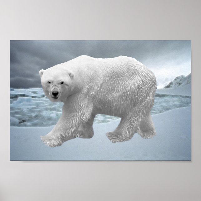 Polar Bear Poster (Vorne)