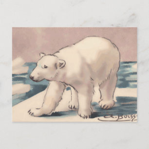 Polar Bear Postkarte