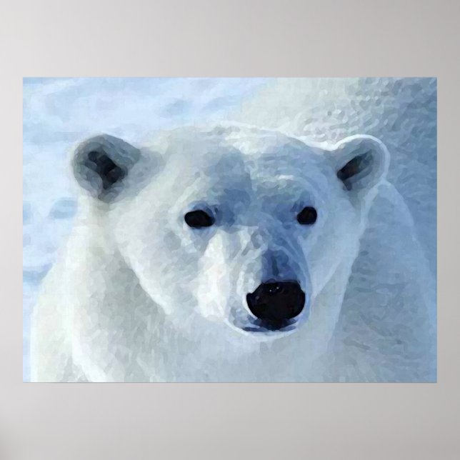 Polar Bear Print Poster (Vorne)
