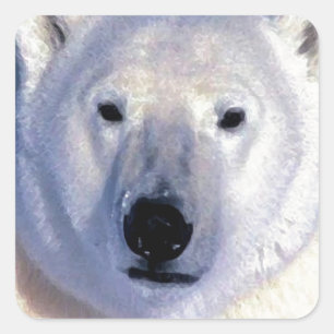 Polar Bear Quadratischer Aufkleber