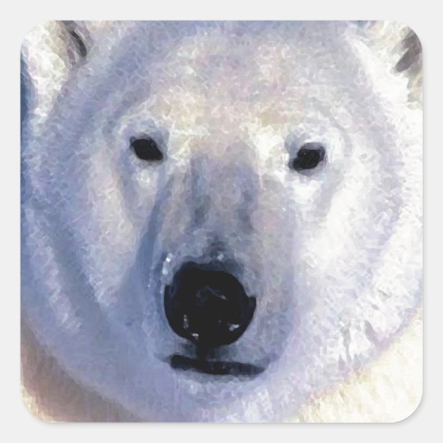 Polar Bear Quadratischer Aufkleber (Vorderseite)