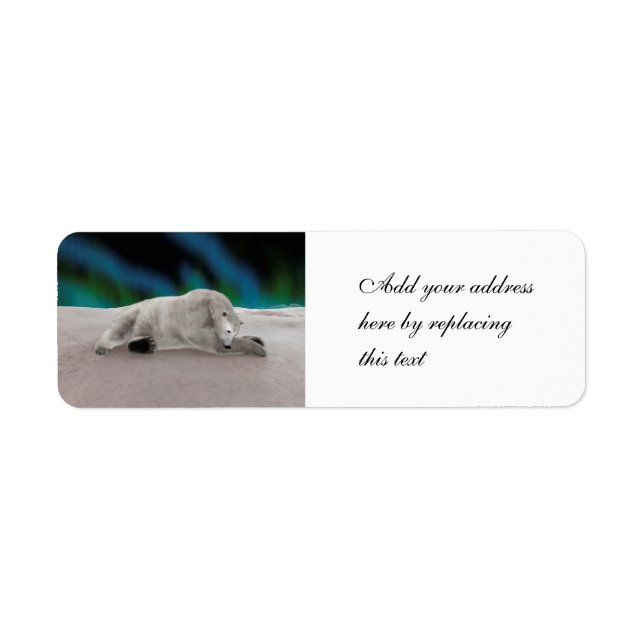 Polar Bear Resting (Vorne)