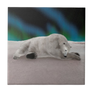 Polar Bear Resting Fliese