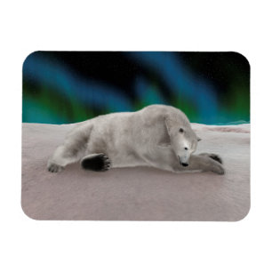 Polar Bear Resting Magnet