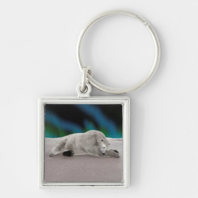 Polar Bear Resting Schlüsselanhänger (Vorne)