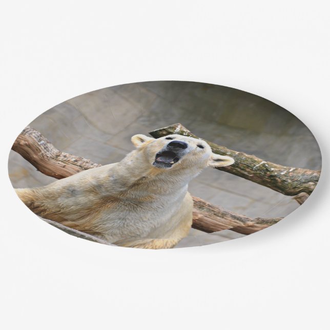 Polar Bear Roaring Pappteller (Schrägansicht)
