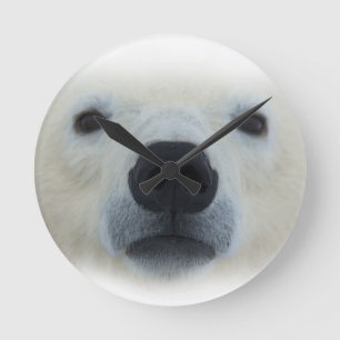 Polar Bear Runde Wanduhr