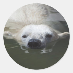 Polar Bear Runder Aufkleber