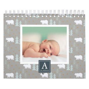 Polar Bear Saisonaler Hintergrund Foto Kalender