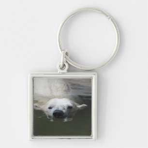 Polar Bear Schlüsselanhänger