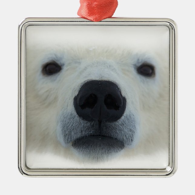 Polar Bear Silbernes Ornament (Vorne)
