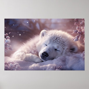 Polar Bear Sleeping Poster