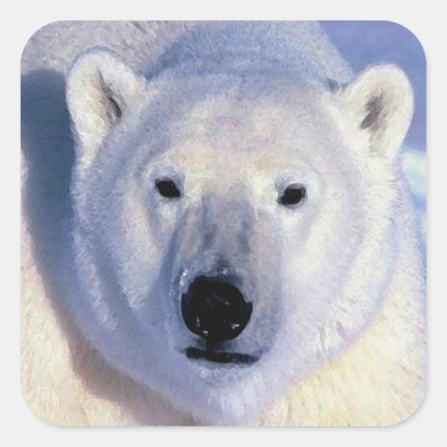 Polar Bear Square Sticker (Vorderseite)