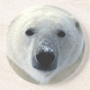 Polar Bear Untersetzer
