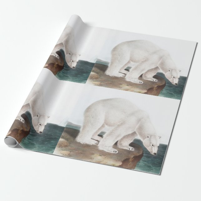 Polar Bear (Ursus maritimus) Illustration Geschenkpapier (Ungerollt)