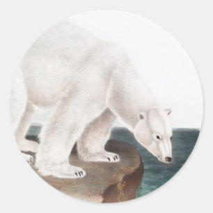 Polar Bear (Ursus maritimus) Illustration Runder Aufkleber