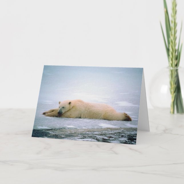 Polar Bear Vermisst You Card Karte (Vorderseite)