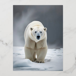 Polar Bear Wildlife Majestic Nature Life Wallpaper Folien Feiertagspostkarte