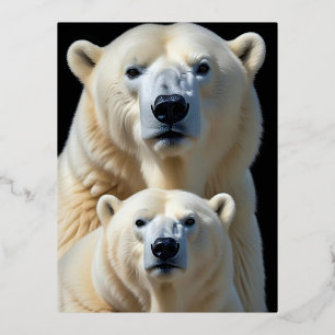 Polar Bear Wildlife Majestic Nature Life Wallpaper Folien Feiertagspostkarte