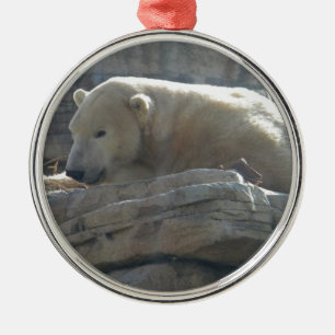 Polar Bear Wildlife Premium-Rundschmuckstück Ornament Aus Metall