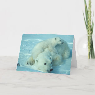 Polar bear with cub karte