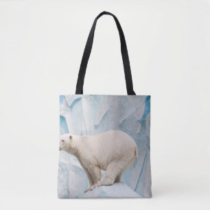 Polar Bear: Zoo Habitat Glimpse