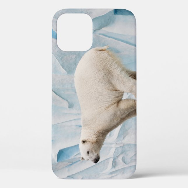 Polar Bear: Zoo Habitat Glimpse Case-Mate iPhone Hülle (Rückseite)