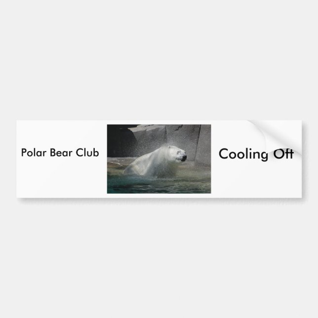Polar Bears Autoaufkleber (Vorne)