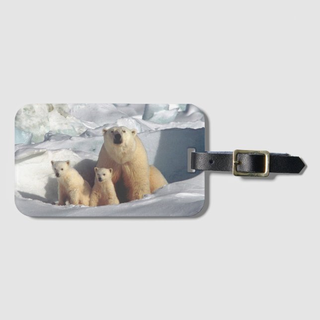 Polar Bears Gepäckanhänger (Vorderseite (Horizontal))