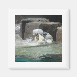 Polar Bears Magnet