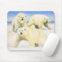 Polar Bears