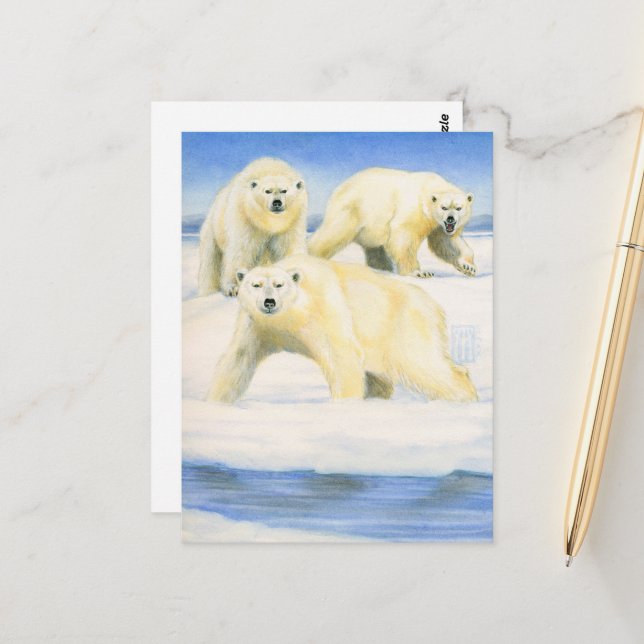 Polar Bears Postkarte (Vorderseite/Rückseite Beispiel)